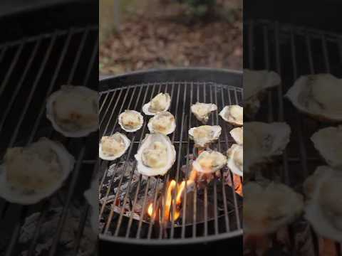 Chargrilled Oysters With Bacon Parmesan Butter - Best Grilled Oysters Recipe #shorts #bbq