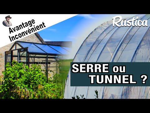 Serre ou tunnel ? Comment faire le bon choix