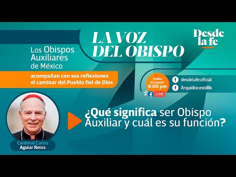 ¿Qué significa ser Obispo Auxiliar y cuál es su función