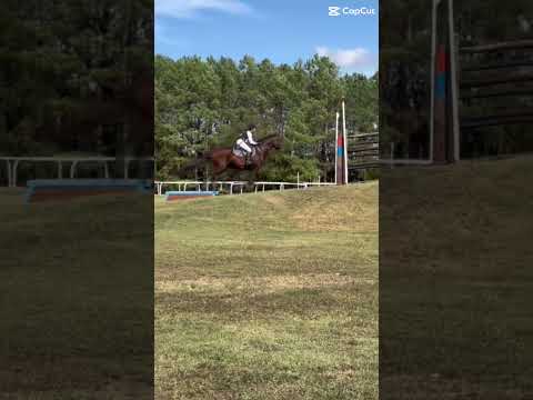 HOLY HILL 😍😍 #horse #equestrianjourney #equestrian #eventing