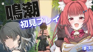 【 #鳴潮 】完全初見👀凝ってるストーリーに圧倒されるリーエ！どんな展開になるのかドキドキ💥#プロジェクトWAVE DAY3