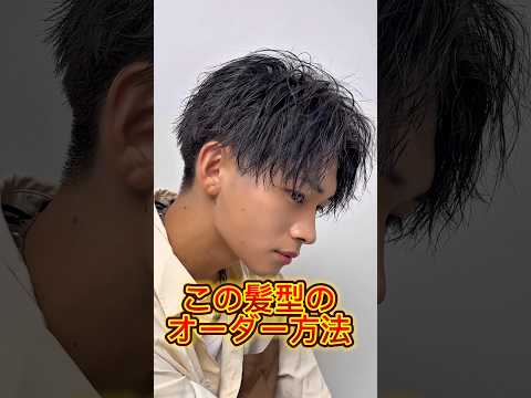 この髪型のオーダー方法【LIPPS hair 表参道 デザイナー 久松祥太】