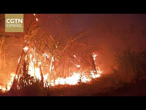 Venezuela envía a Bolivia bomberos para combatir incendios forestales