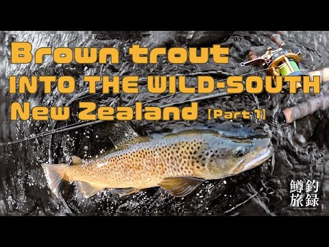 【2025🇳🇿NZニュージーランド南島_最南部の開拓釣行・前編】🏔️Into the Wild South🐟🎣newzealand