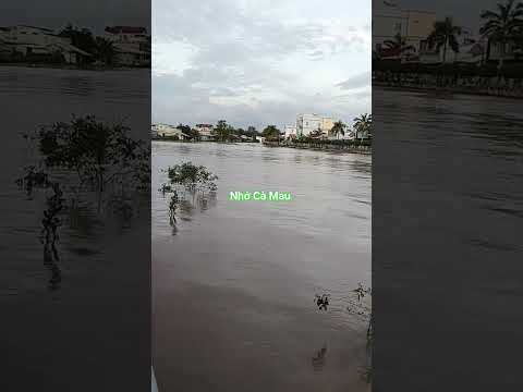 Nhớ Cà Mau lắm luôn á...!!!