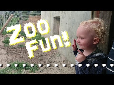Declans First Trip to the Zoo + 6 Week Prego Update!