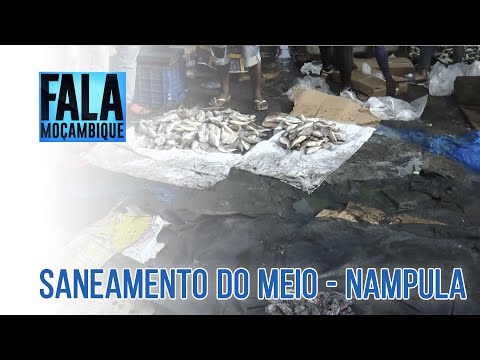 Imundice continua a condicionar a venda de peixe no mercado dos Belenenses em Nampula @PortalFM24