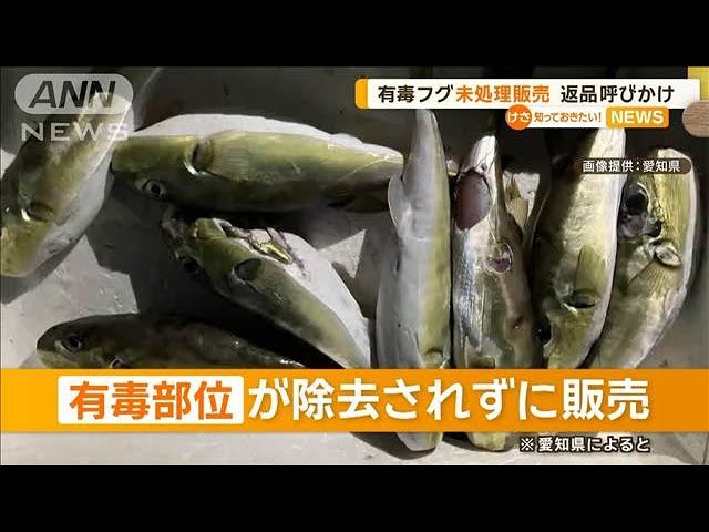 Image of Poisonous Pufferfish Sold Untreated in Aichi Prefecture, Calls for Return