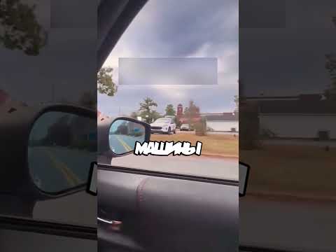 Погавкал на репортеров😄 #история #shorts