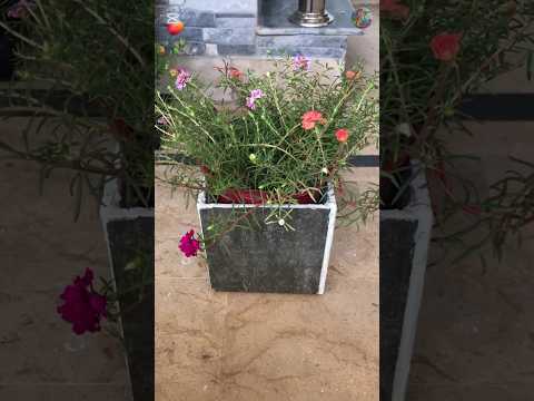 From plain to patterned 🌱✨ Tile art meets plant pot magic! #shorts#diyplantpot#tileart#plantsdecor