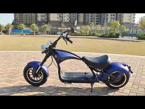 city coco electric scooter battery