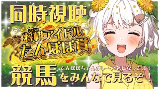 【競馬】将棋アイドル たんぽぽ賞✨同時視聴【VTuber】