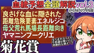 菊花賞 2025 エネルジコに血統の甘い罠!?牝系を見れてこそわかる危険度とは… 全馬血統解説vol.2 #四条大学血統ゼミ🏇🧬