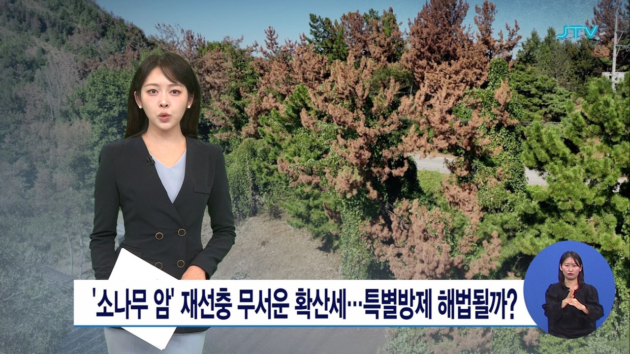 이미지 없음