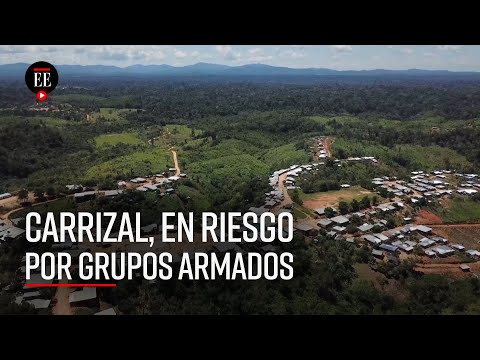 Carrizal, Antioquia, una vereda que teme por el regreso de los grupos armados - El Espectador