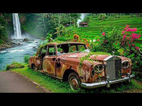 Old Cars Frozen in Time – True Automotive Ghosts Discovered!