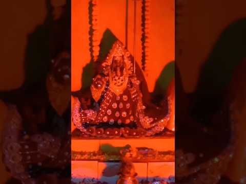 रेशम माता कोलारस के दर्शन #reshammata #darshan #matarani #shorts