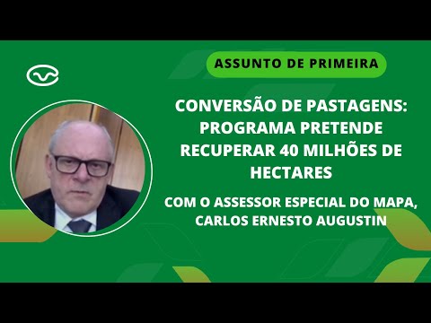 Conversão de pastagens: Programa pretende recuperar 40 milhões de hectares