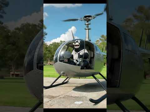 Seal Steals a Helicopter?! This Can’t End Well… 🚁😬 #Shorts