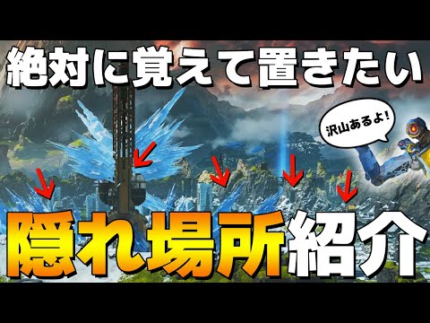 【Apex Legends】勝つために覚えよう！ランクマでも通用する隠れ場所を知れば上昇間違えなし！？【日本語訳付き】