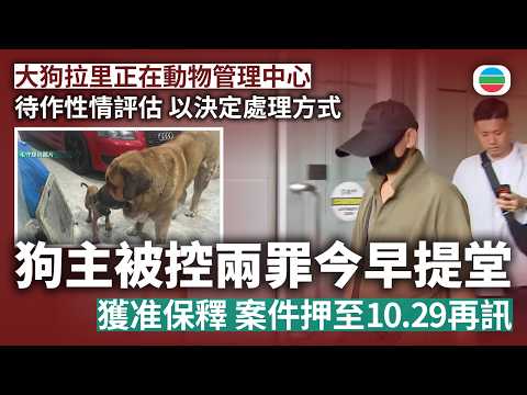 元朗狗咬狗｜漁護署控告大狗主人　早上屯門裁判法院提堂｜香港新聞｜無綫新聞｜TVB News｜2026/08/20