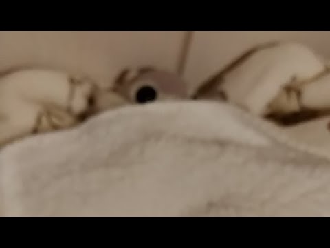 ちょっとぼやけた 2話 #2