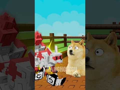 🦊 vs 🦝#growagarden #roblox #games #raccoon #kitsune