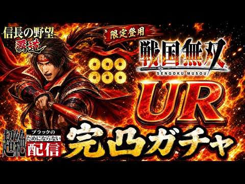 【信長の野望 覇道】来てしまった戦国無双コラボ！　完凸＆検証ライブ