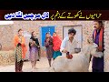 #fun Bhootna,Shoki, Bilo Cheena & Sanam Mahi New Funny Video By Rachnavi Tv2