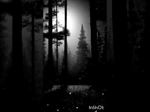 Saawli Saloni Teri | Moody Forest Vibes🌲🖤