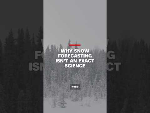 Why forecasting snowstorms isn’t an exact science.