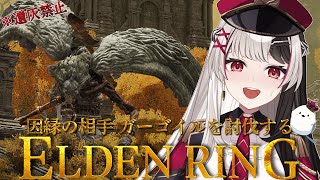 【 ELDENRING 】フロムゲー完全初見.ᐟ.ᐟ 遺灰無しでガーゴイル倒しつくす【 エルデンリング 21日目 】【 姫守ほたる/るみぷろ