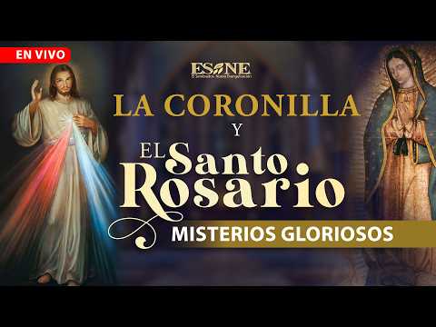 EN VIVO: Hora Santa frente al Santísimo Sacramento