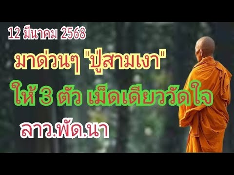 มาด่วนๆปู่สามเงาให้3ตัวเม