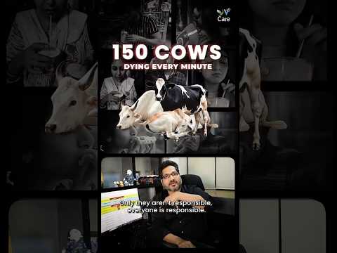 Our tea/ice cream/butter/cheese kill 150 cow breeds in 1 minute