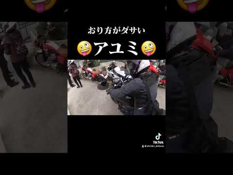 【モトブログ】【夫婦ライダー】【ツーリング】ディランみたい🤣 #夫婦ツーリング #motovlog #夫婦ライダー #バイク女子 #moto夫婦 #夫婦モトブログ #女子ツーリング