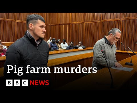 South African farmer on trial accused of feeding women to pigs | BBC News