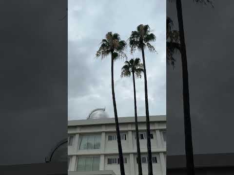 See Kobe U - 深江キャンパス / Fukae Campus