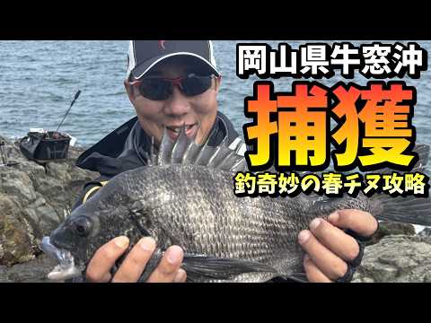 釣奇妙の春チヌ攻略！初めての磯で大型を捕獲 in 岡山県牛窓沖