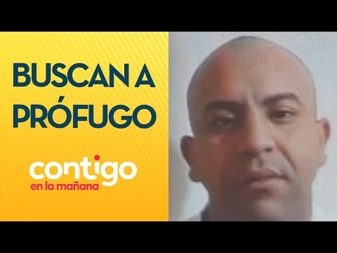 ESTARÍA EN EL NORTE: La búsqueda del prófugo por crimen de teniente Sánchez - Contigo en la Mañana