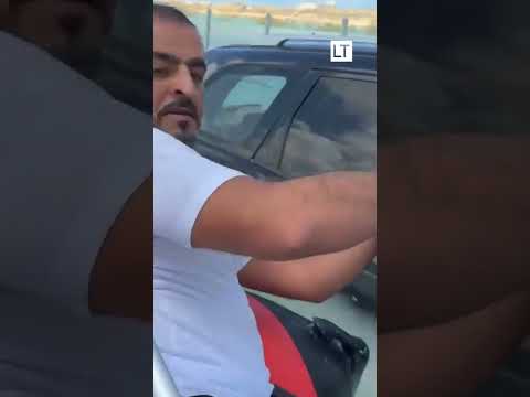 Gatito se aferra a un auto para sobrevivir a inundaciones en Dubái