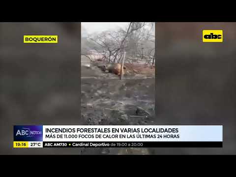 Incendios forestales en varias localidades