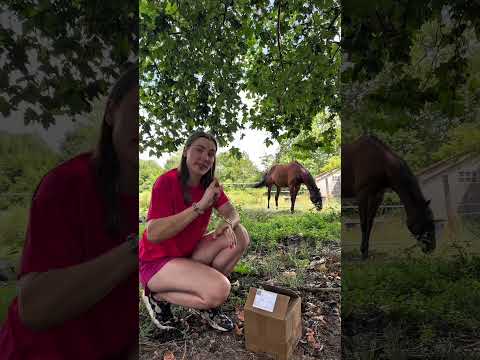 PART 2 : HAUL CAVALIÈRE TRI-ATHLÈTE 🐎👟🩱#équitation #natation #marche  #equestrian