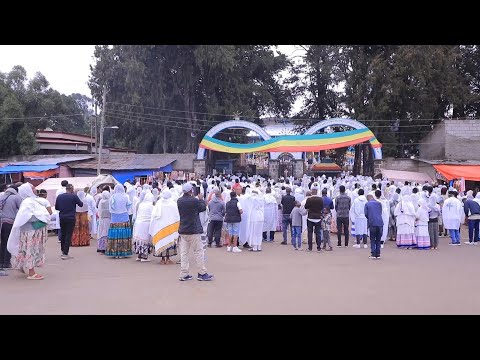 Orthodox Christians in Ethiopia celebrate Palm Sunday
