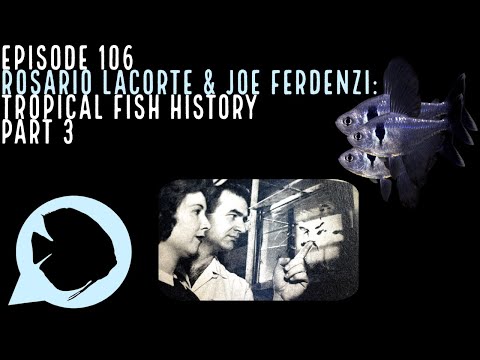 Ep. 106 - Rosario LaCorte and Joe Ferdenzi_ Tropic Source:
https_//www.podbean.com/eau/pb-ai3en-10ee25f

Get your Aquarium Co-Op goodies and things_
ww