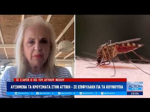 Συναγερμός για τον ιό του Δυτικού Νείλου – Στο «κόκκινο» η Αττική