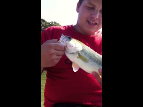 Fort pond montauk long island bass video thumbnail