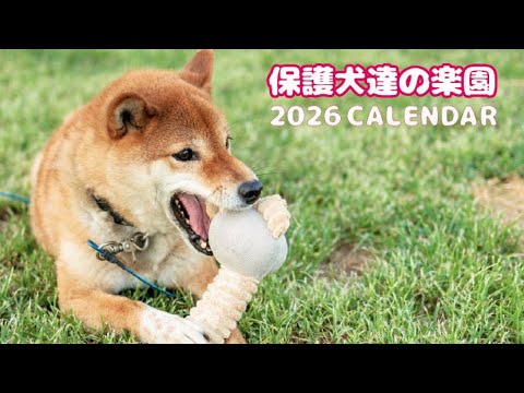 【予約注文特典付】2026年度保護犬達の楽園カレンダー