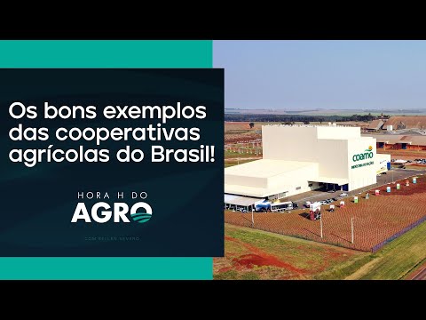 Caso de sucesso: número de agricultores da Coamo salta de 79 para 32 mil | HORA H DO AGRO