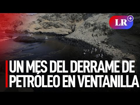 Un mes de daños y demoras desde el trágico derrame de petróleo en Ventanilla
